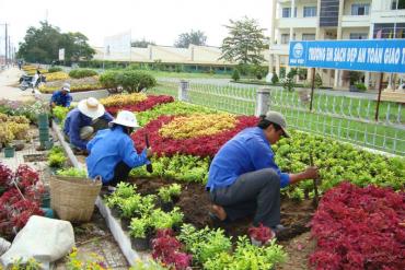 THVL-Tăng cường mảng xanh cho Thành phố Vĩnh Long